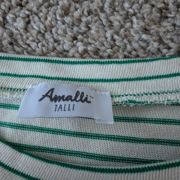 NWOT cream/green top from Amalli Talli, XL Tall - Picture 2 of 8